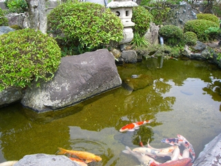 鳥取浦富海岸｜かまや旅館